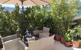 Bellini'S House
